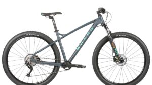 haro flightline two 29