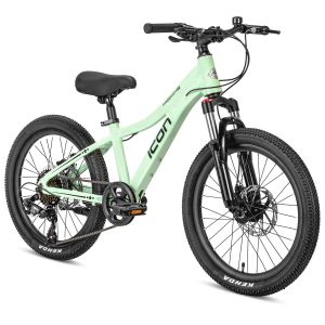 ICON Freedom 20" MTB